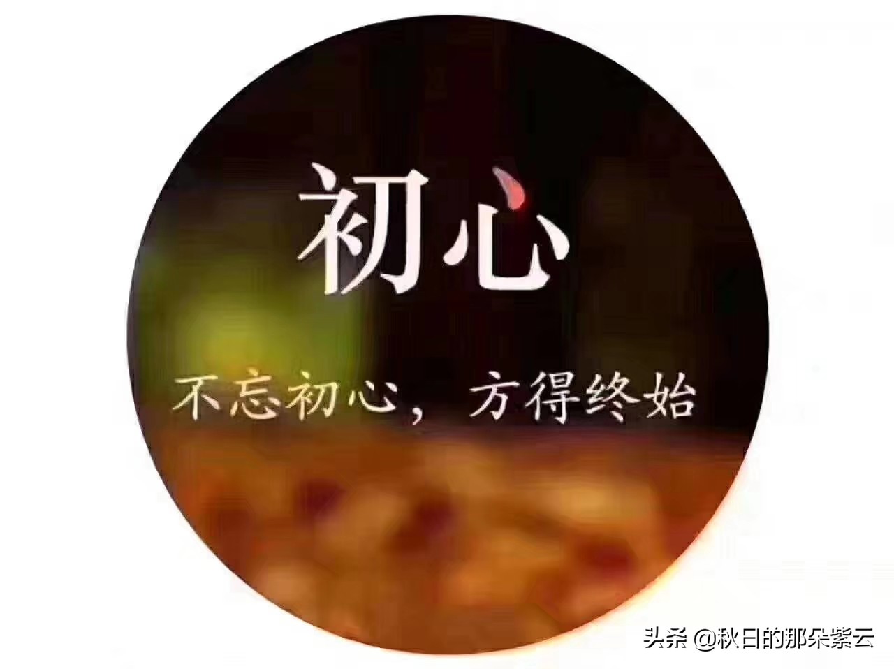 我爱的是你爱我,（我爱的是你爱我免费观看在线）