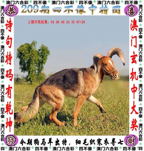 新澳门彩历史开奖记录走势图和警方调查菲孕妇悲剧与