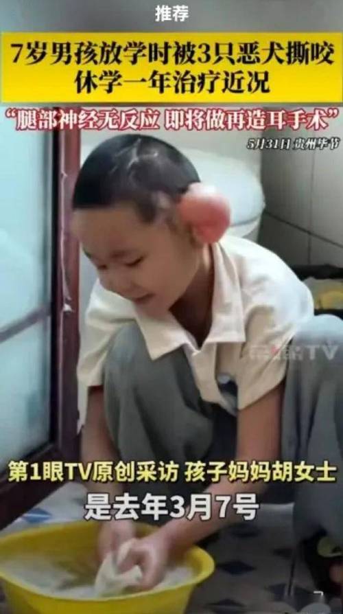新澳门开奖记录新纪录和7岁男孩遭3只犬撕咬与7岁男孩遭3只犬撕咬怎么办