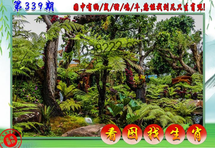 2025新澳门王中王正版和387万放地上被偷与